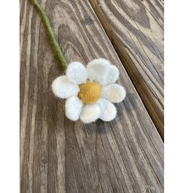 White Felt Anemone