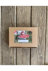 Imagine Childhood DIY Mushroom Fairy Kit
