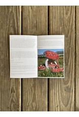 Imagine Childhood DIY Mushroom Fairy Kit
