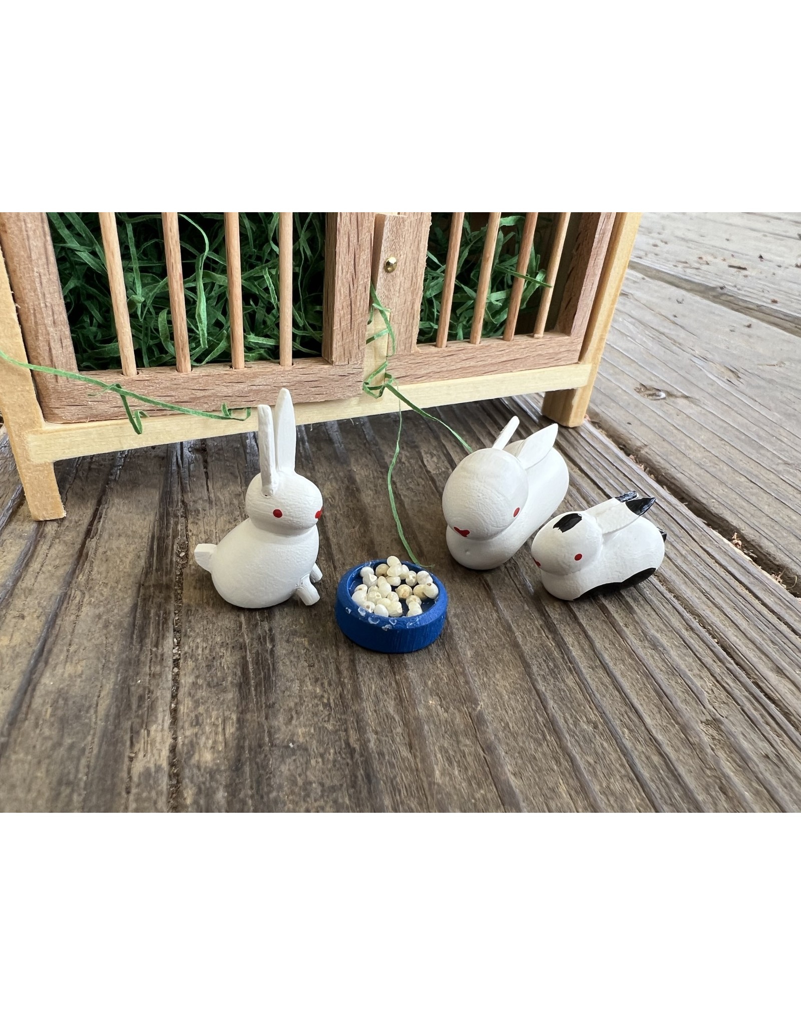 Mini Rabbit Hutch with Rabbits. Germany