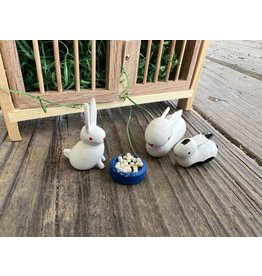 Mini Rabbit Hutch with Rabbits. Germany