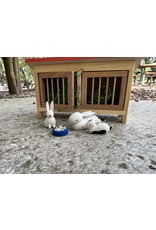 Mini Rabbit Hutch with Rabbits. Germany