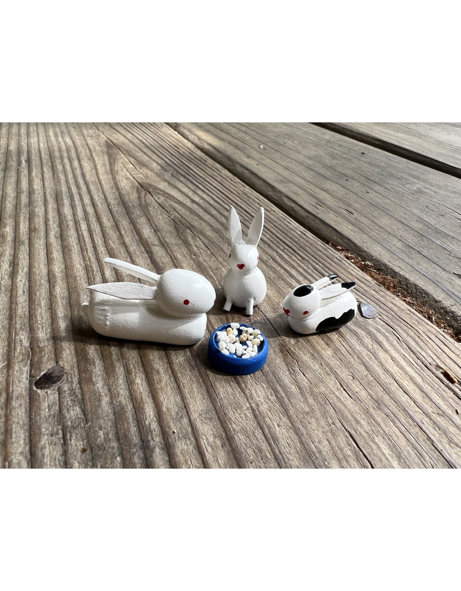 Mini Rabbit Family. Dregeno from Germany