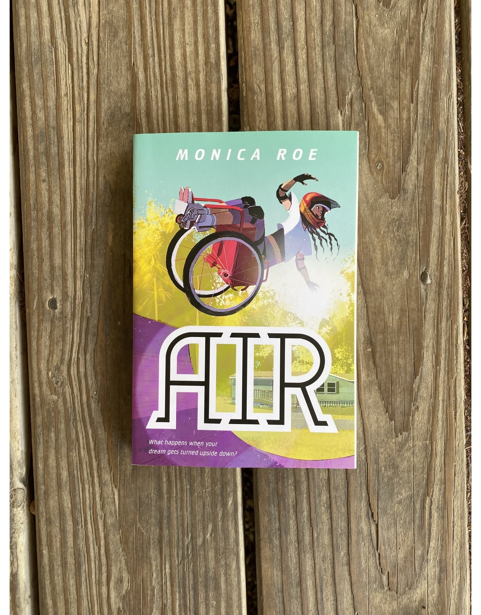 Air by Monica Roe