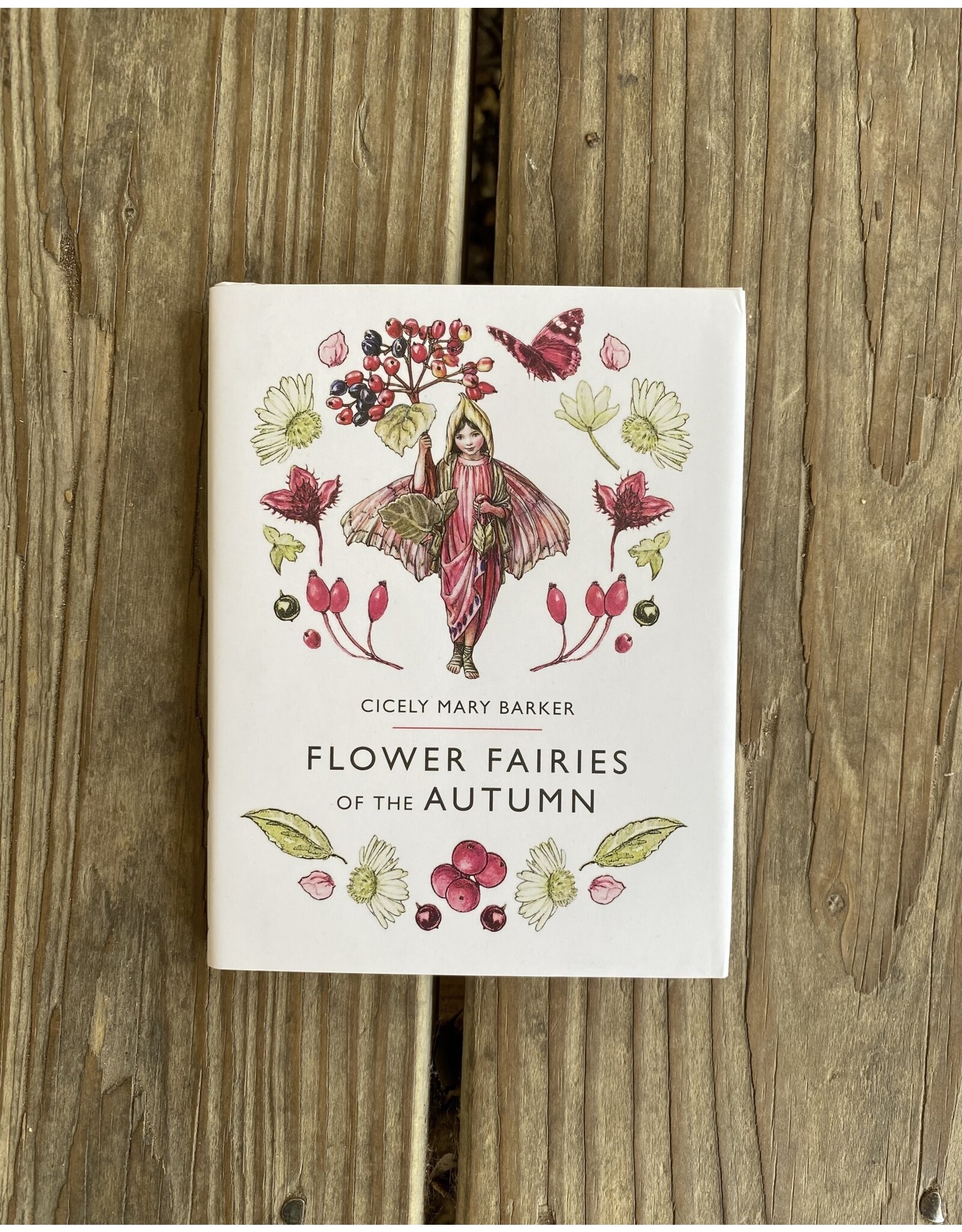 Flower Fairies of the Autumn