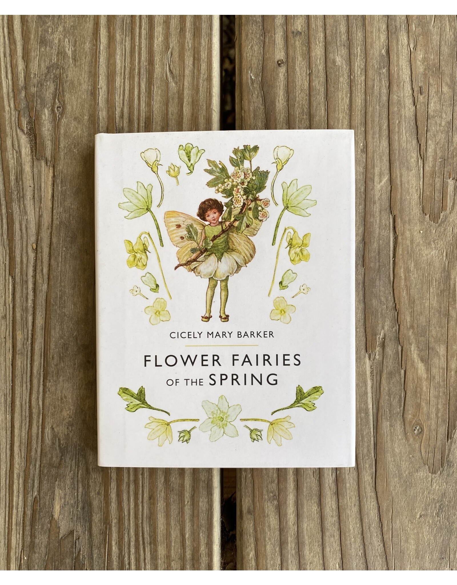 Flower Fairies of the Spring