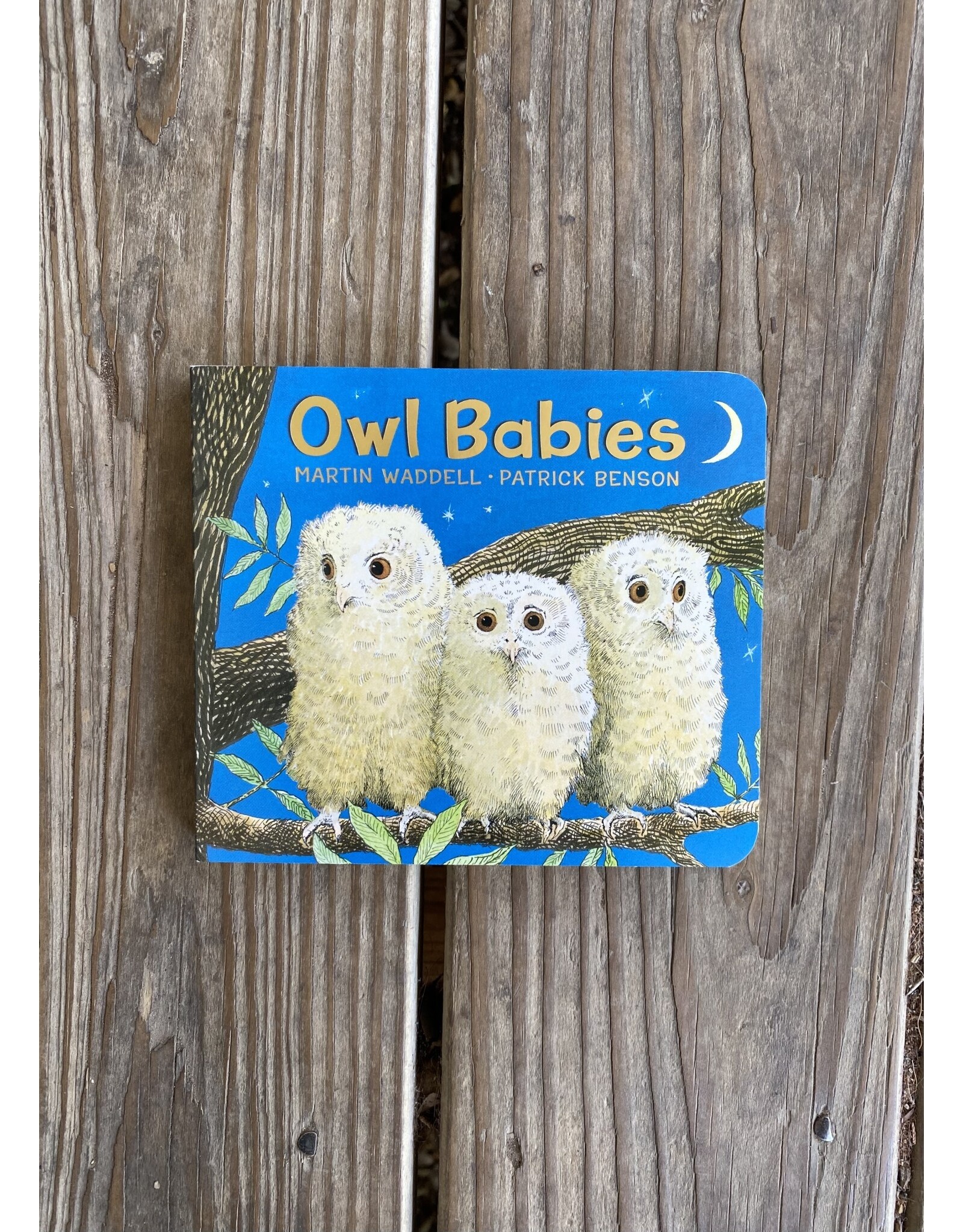 Owl Babies