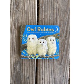 Owl Babies