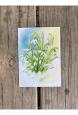 Snow Drops Postcard - Marjan van Zeyl