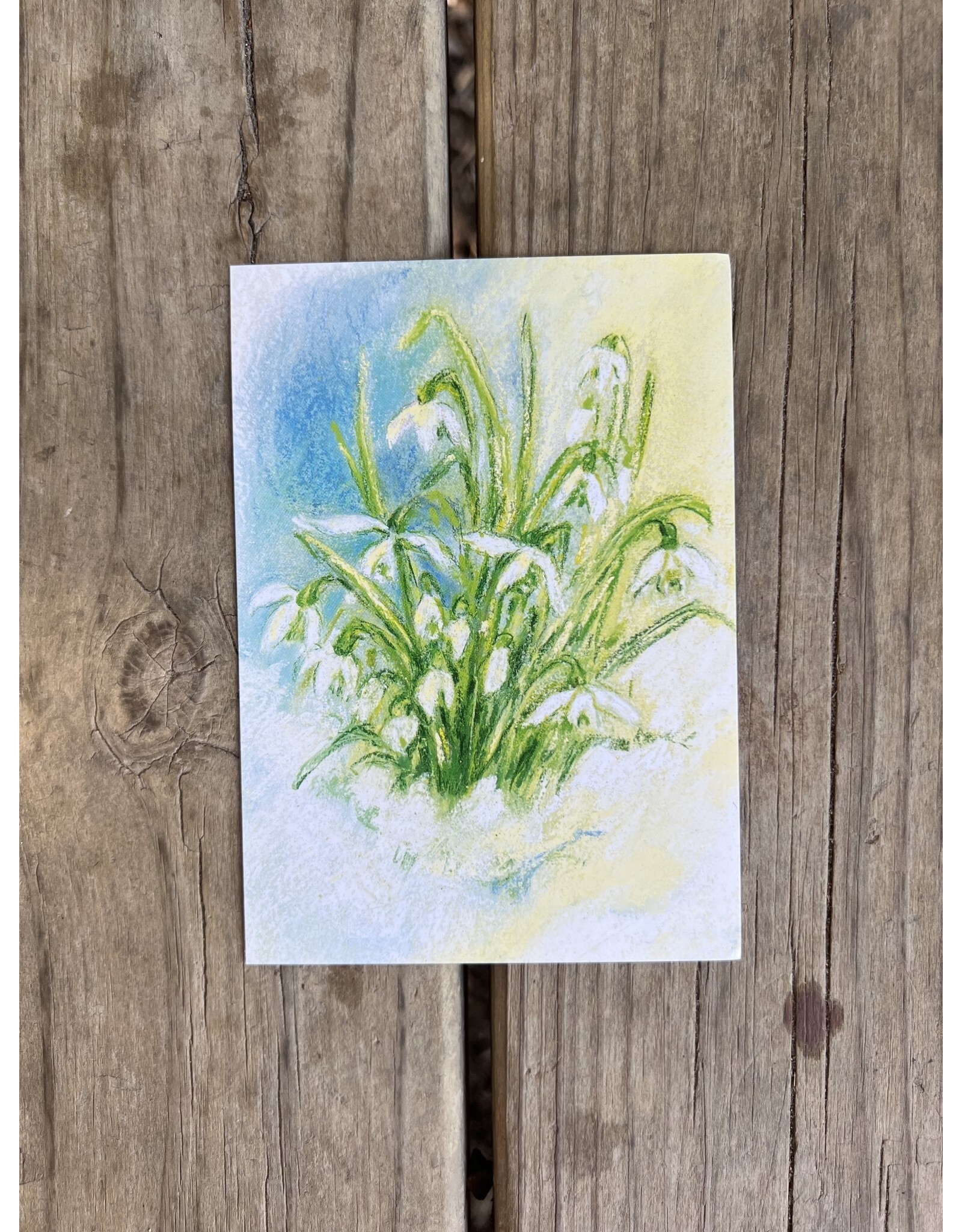 Snow Drops Postcard - Marjan van Zeyl
