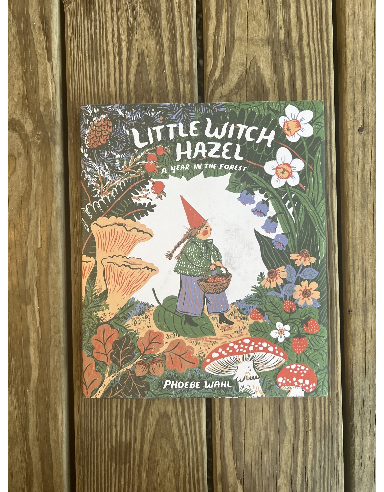 Little Witch Hazel by Phoebe Wahl