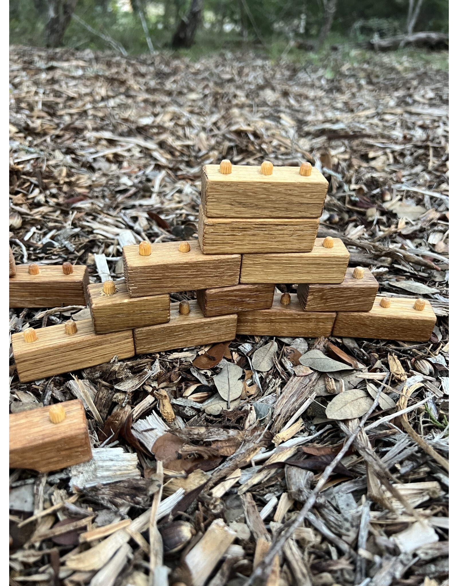 Handmade Interlocking Wooden Blocks 46 pieces. Camphill Village