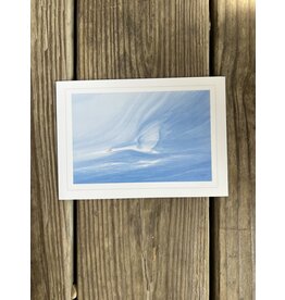 Swan in Flight Folded Card 5x7