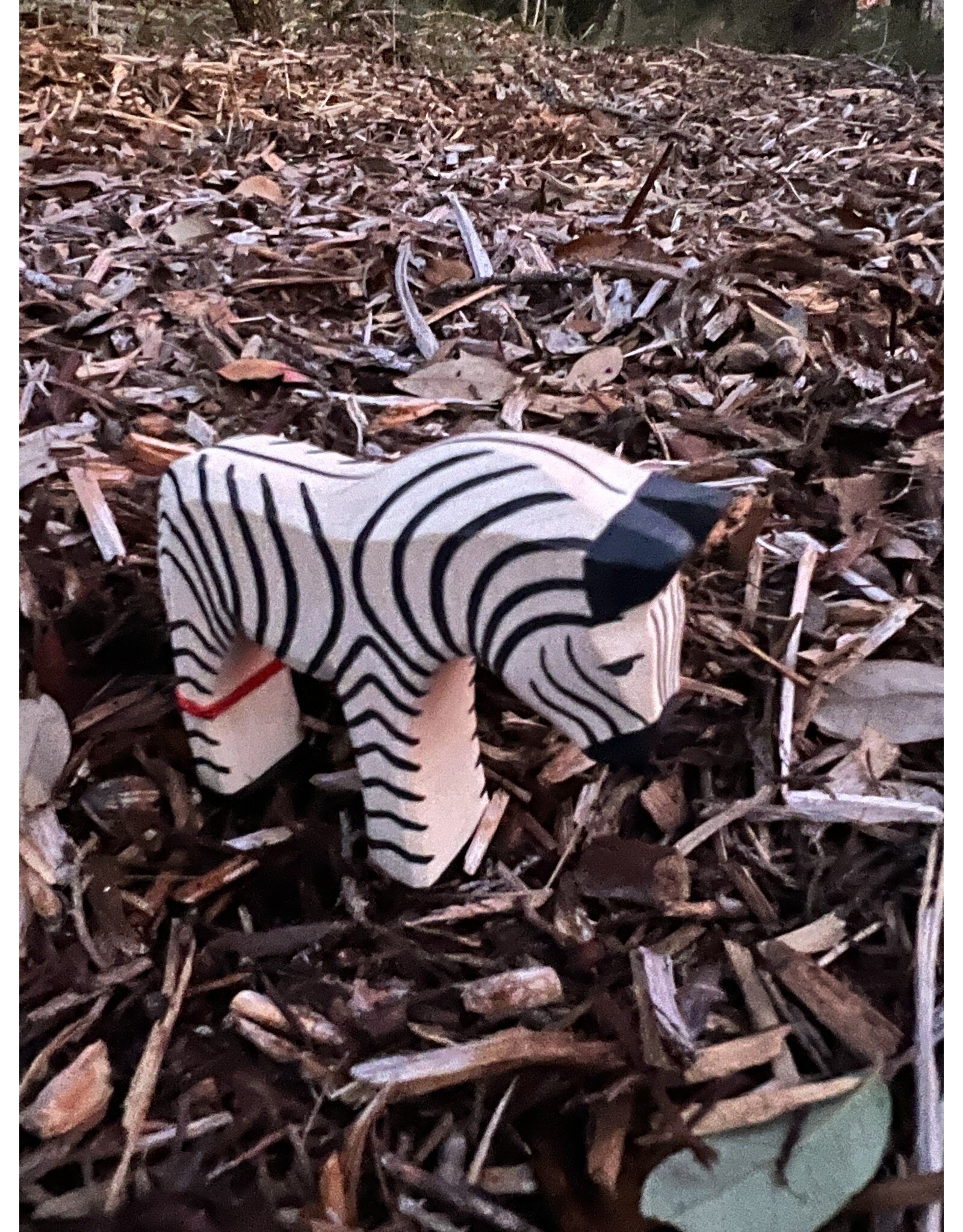 Zebra, Small - Ostheimer