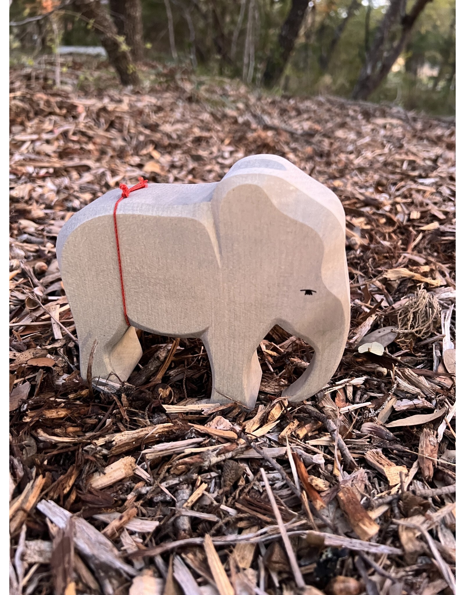 Bull Elephant - Ostheimer