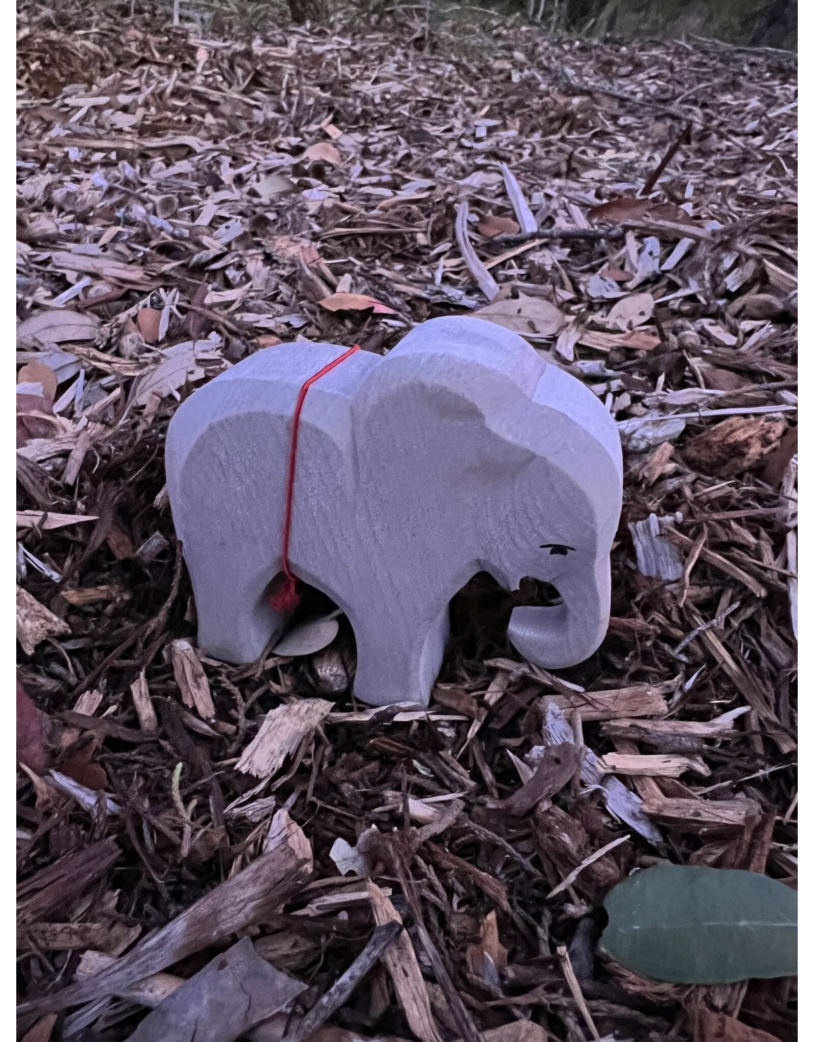 Elephant, Small Eating - Ostheimer