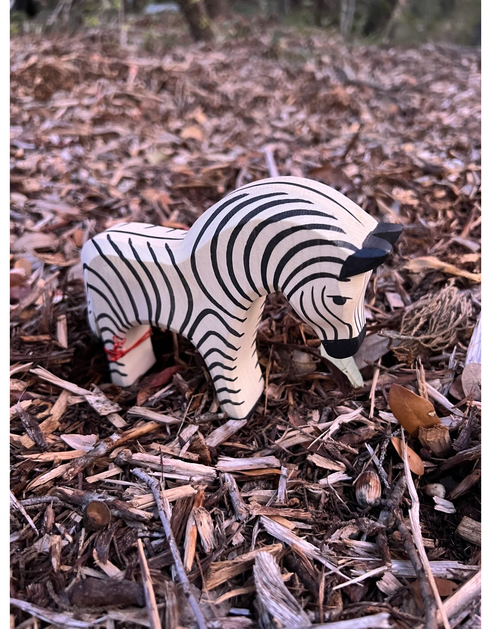 Zebra - Ostheimer