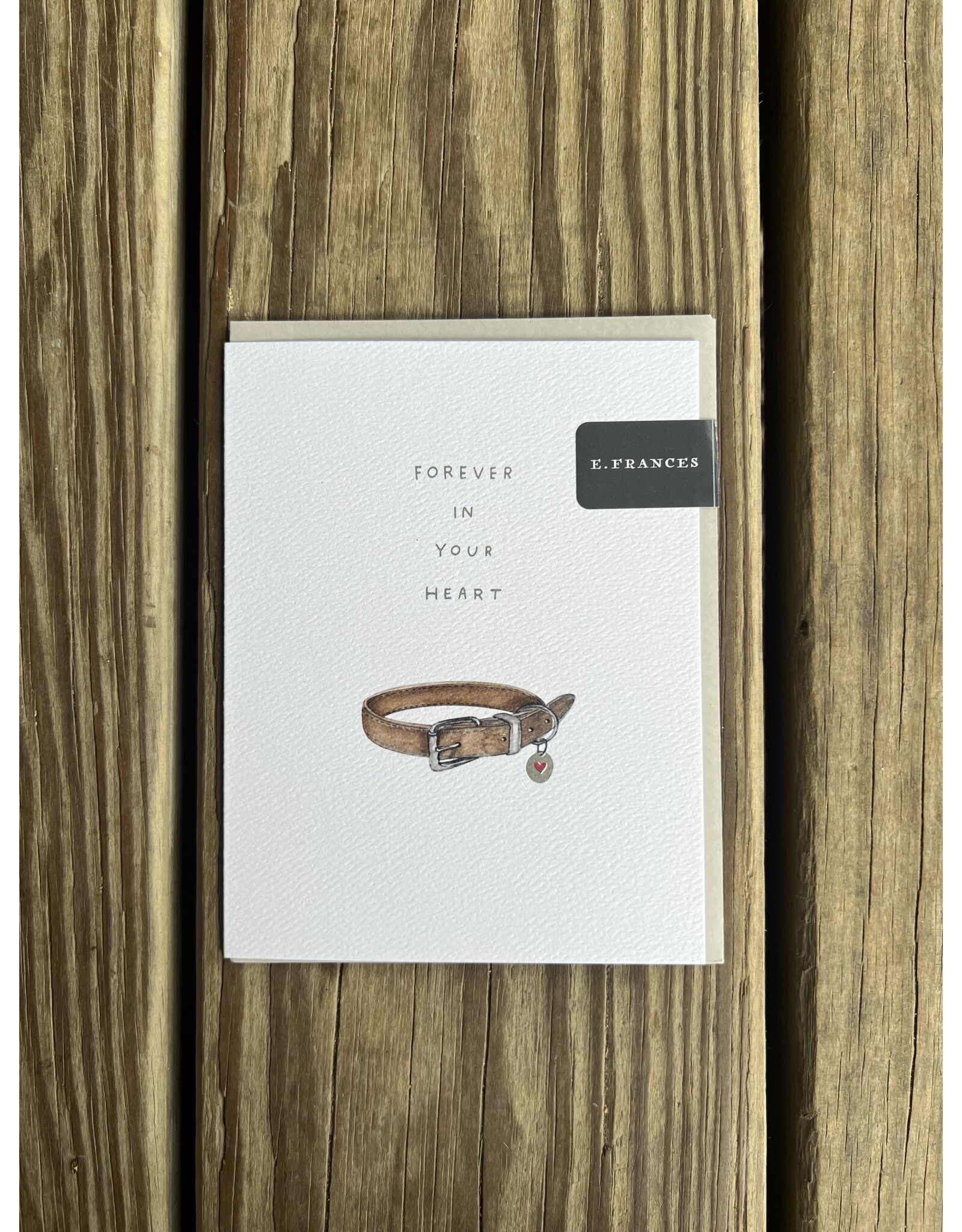 Pet Collar Sympathy Card