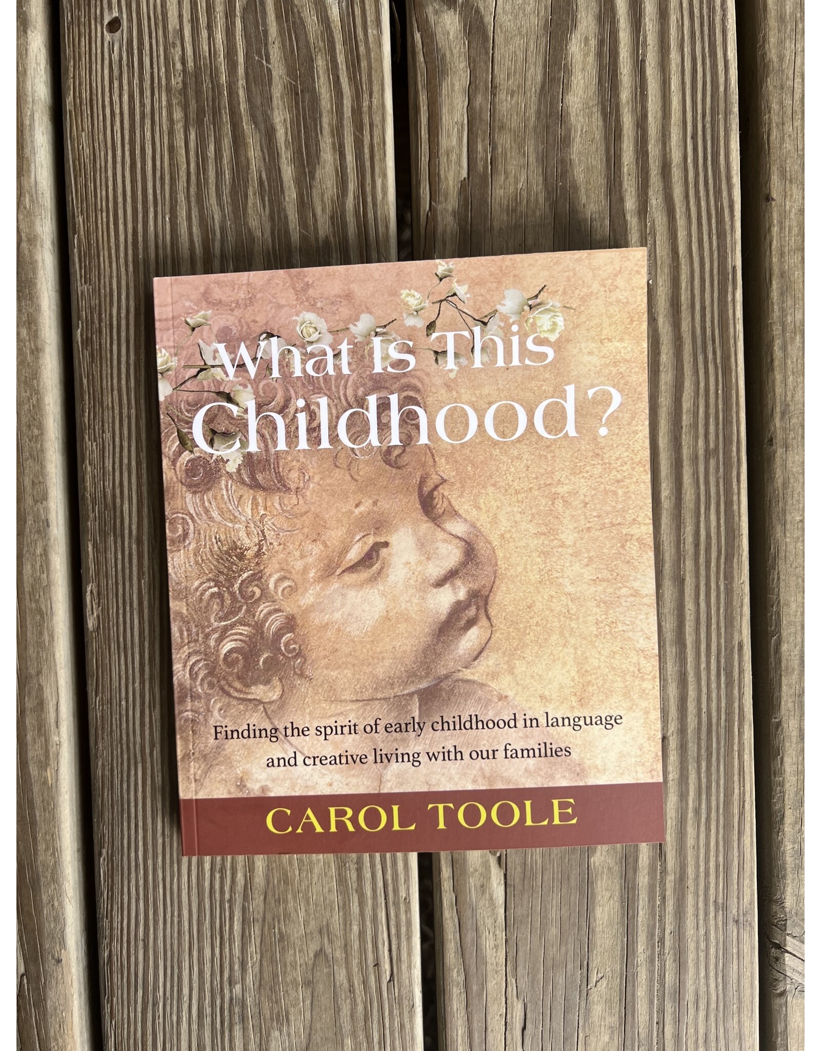 What is This Childhood by Carol Toole