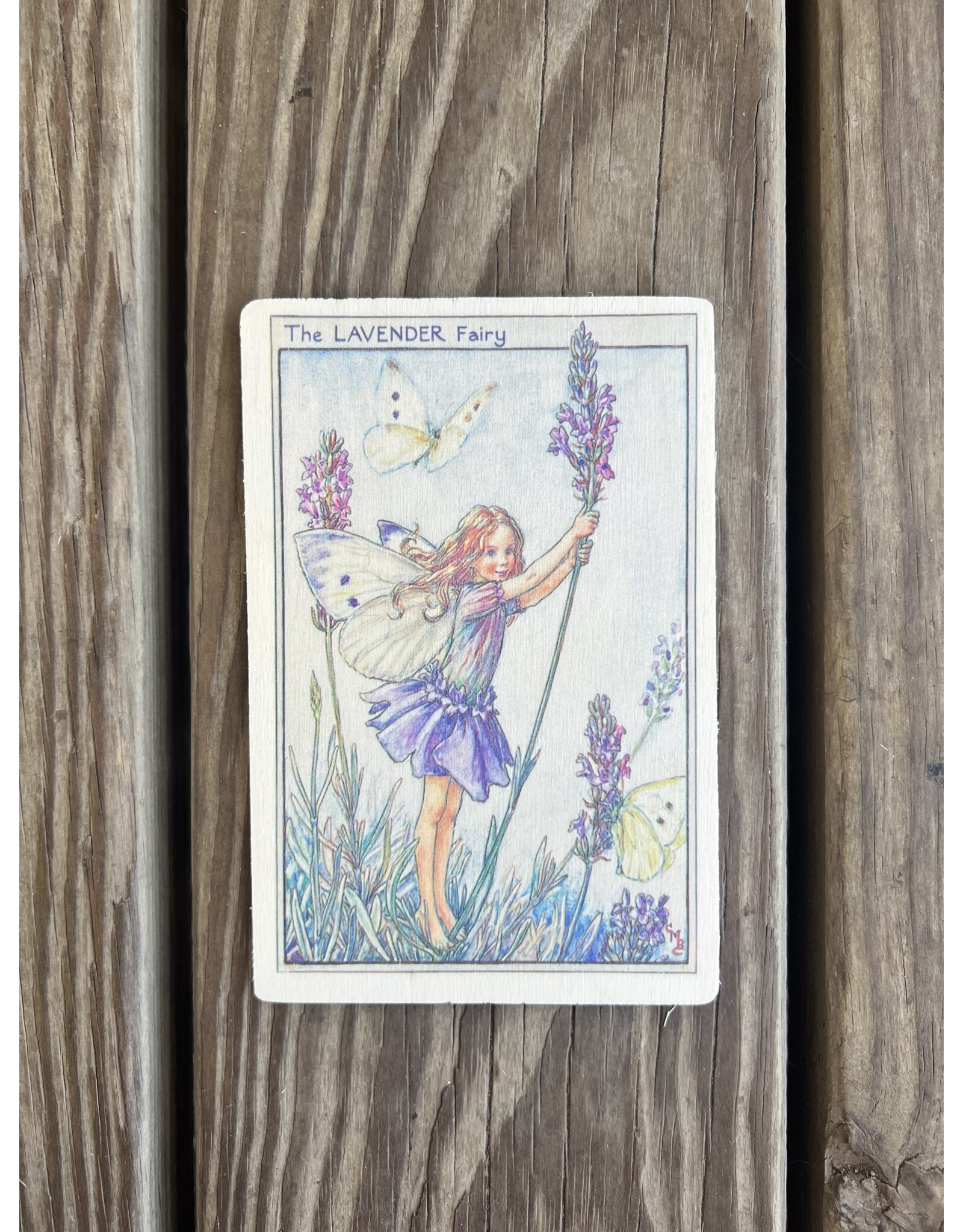 Lavender Fairy Wood Postcard