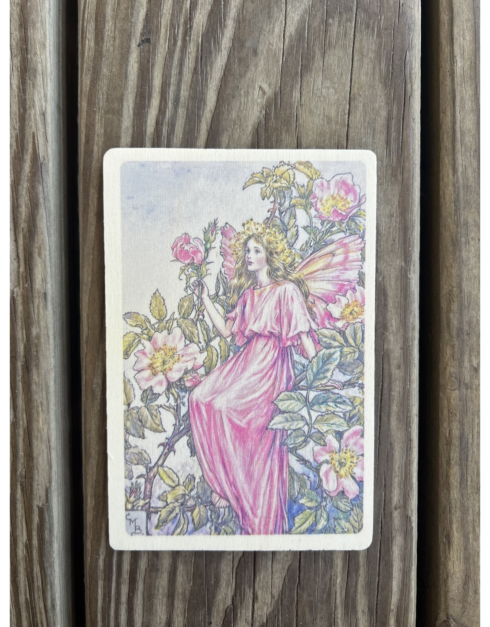 Wild Rose Fairy Wood Postcard