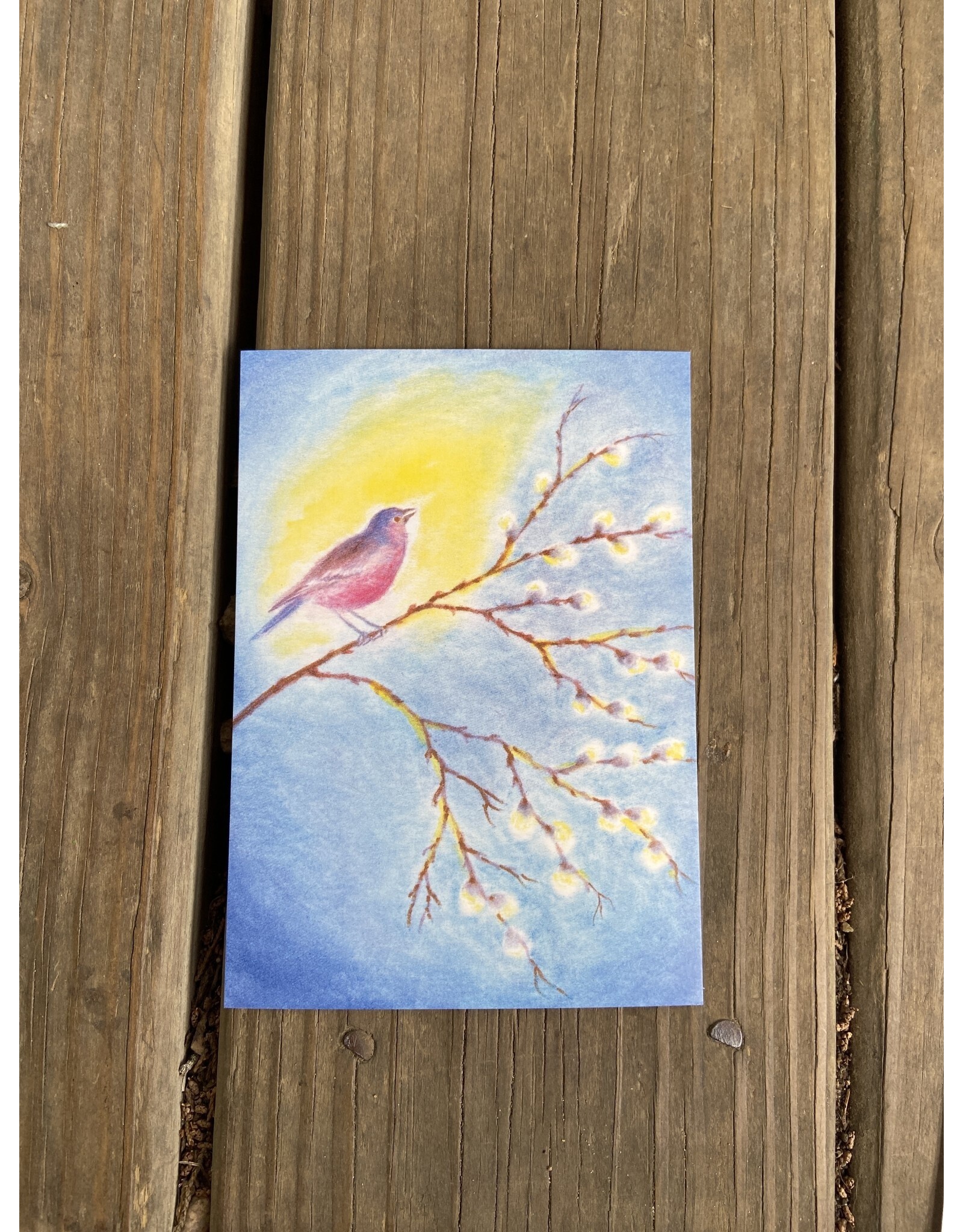 Bird Sitting on Branch Postcard - Erika Hoffman
