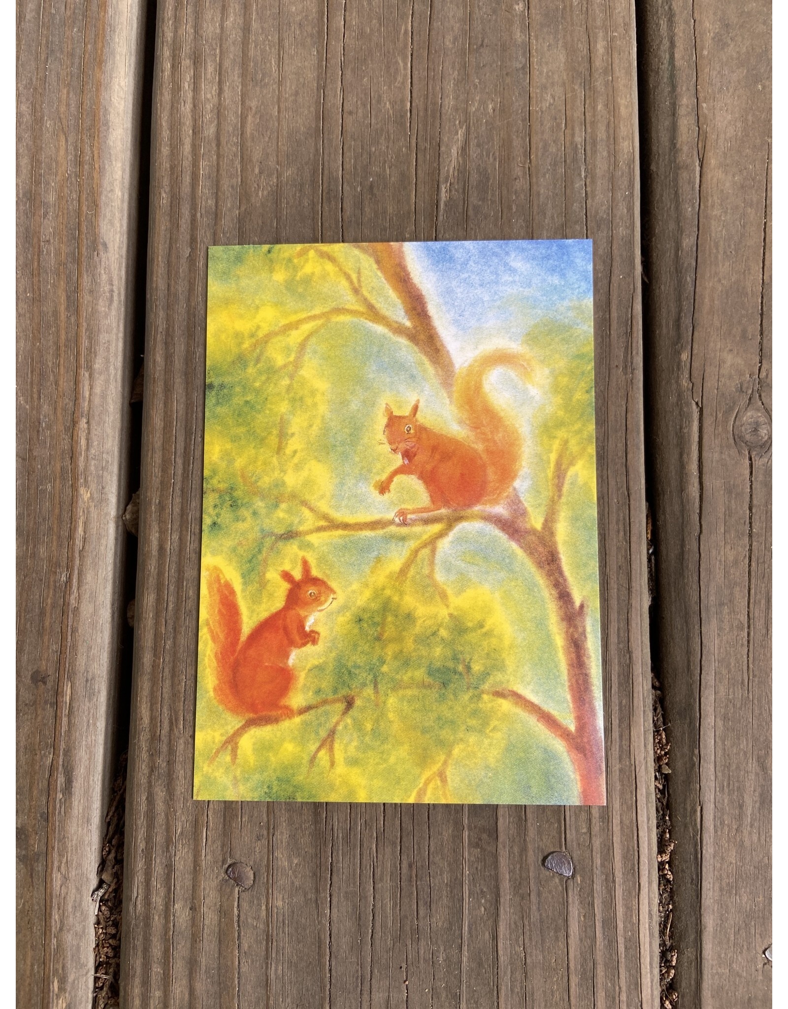 Squirrels Postcard. Erika Hoffman