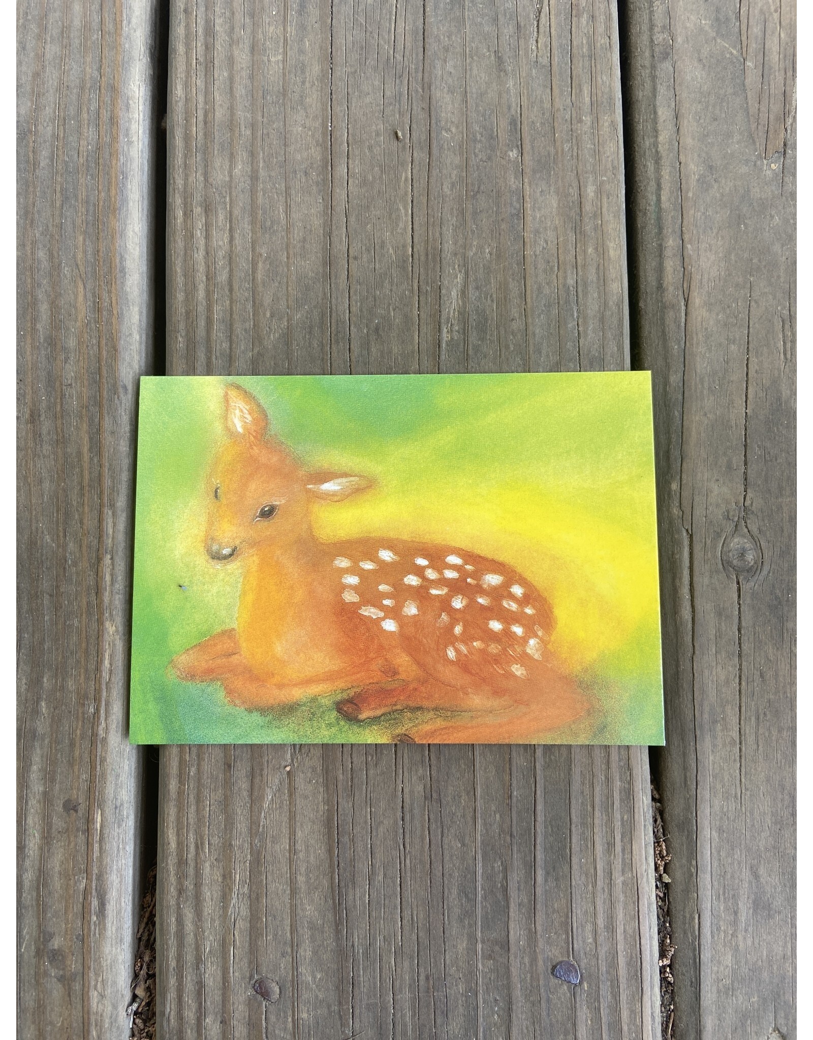 Resting Doe Postcard - Dorothea Schmidt. Deer