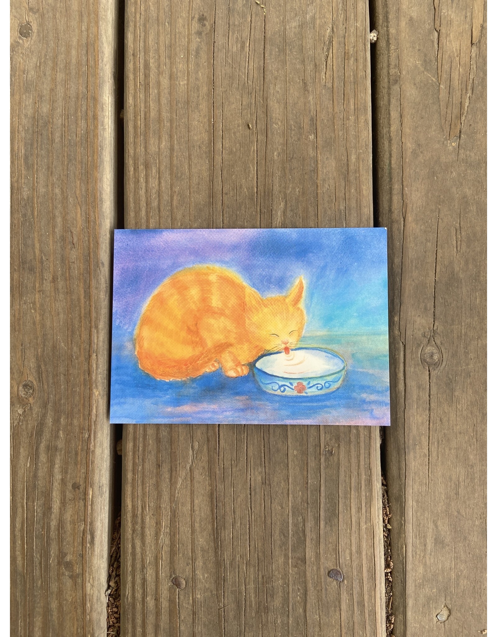 Cat Postcard