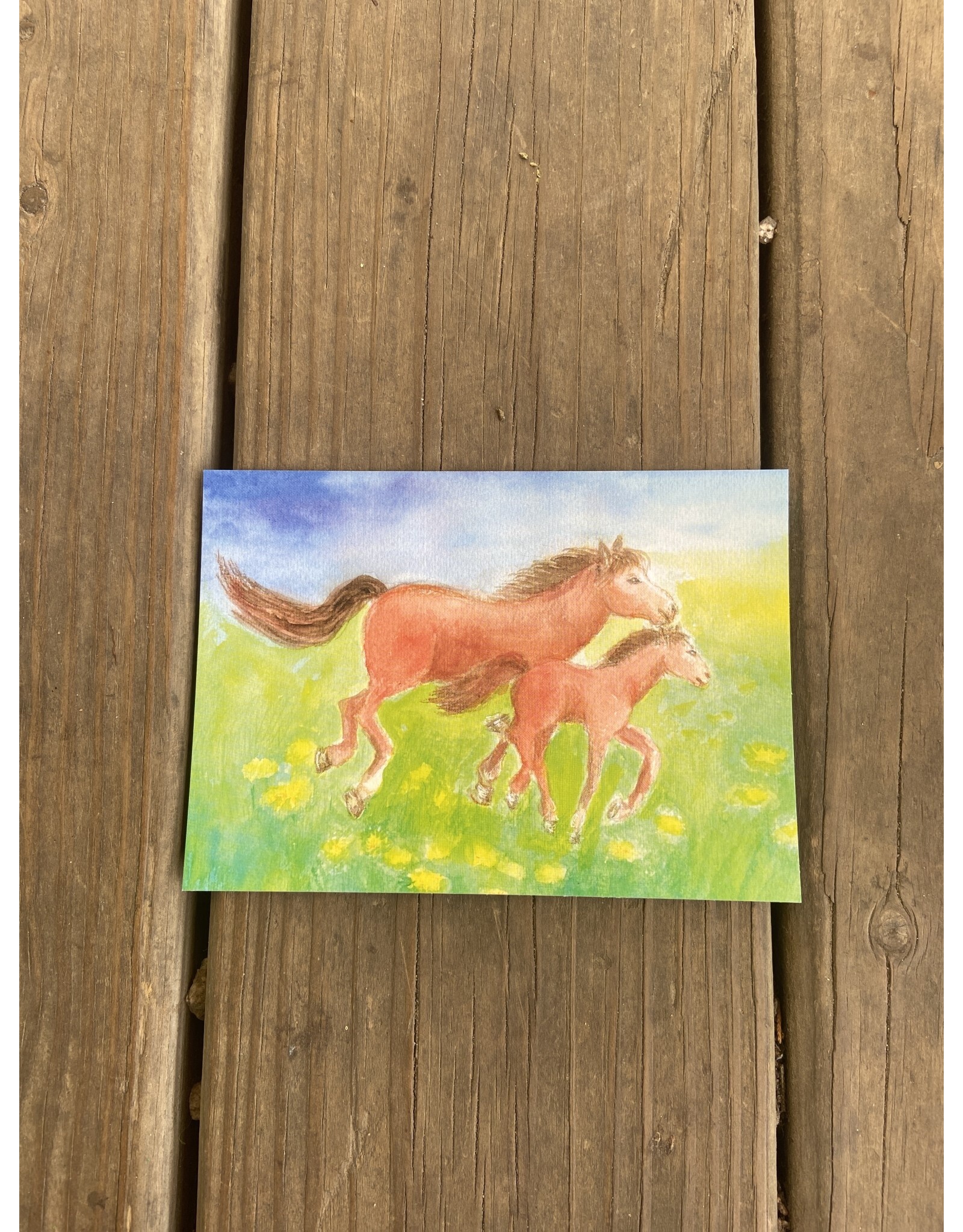 Horse and Foal Postcard - by Dorothea Schmidt