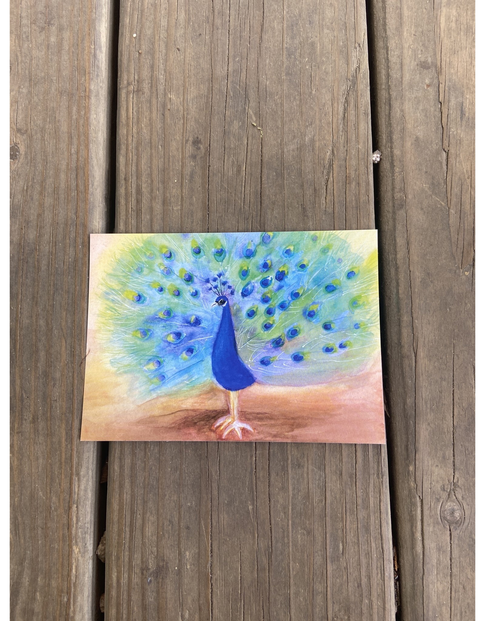 The Proud Peacock Postcard