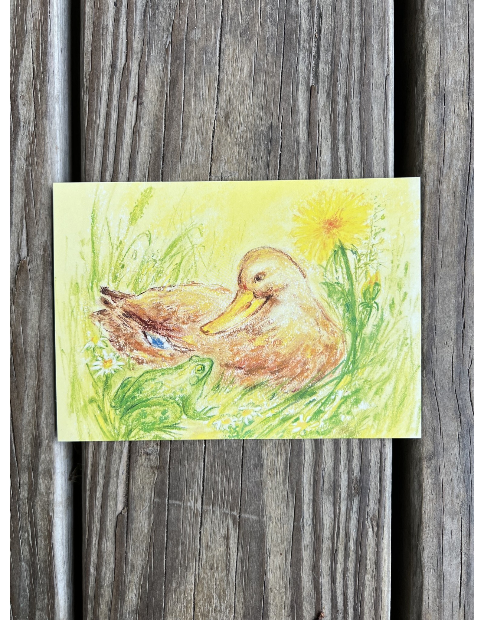 Duck and Frog Postcard. Marjan van Zehl