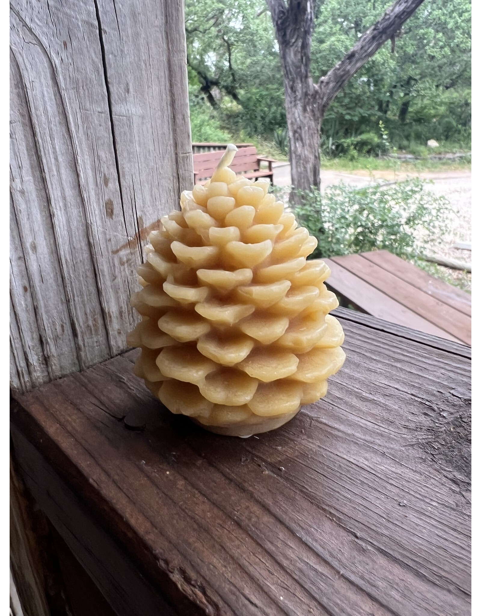 Camphill Medium Beeswax Pinecone