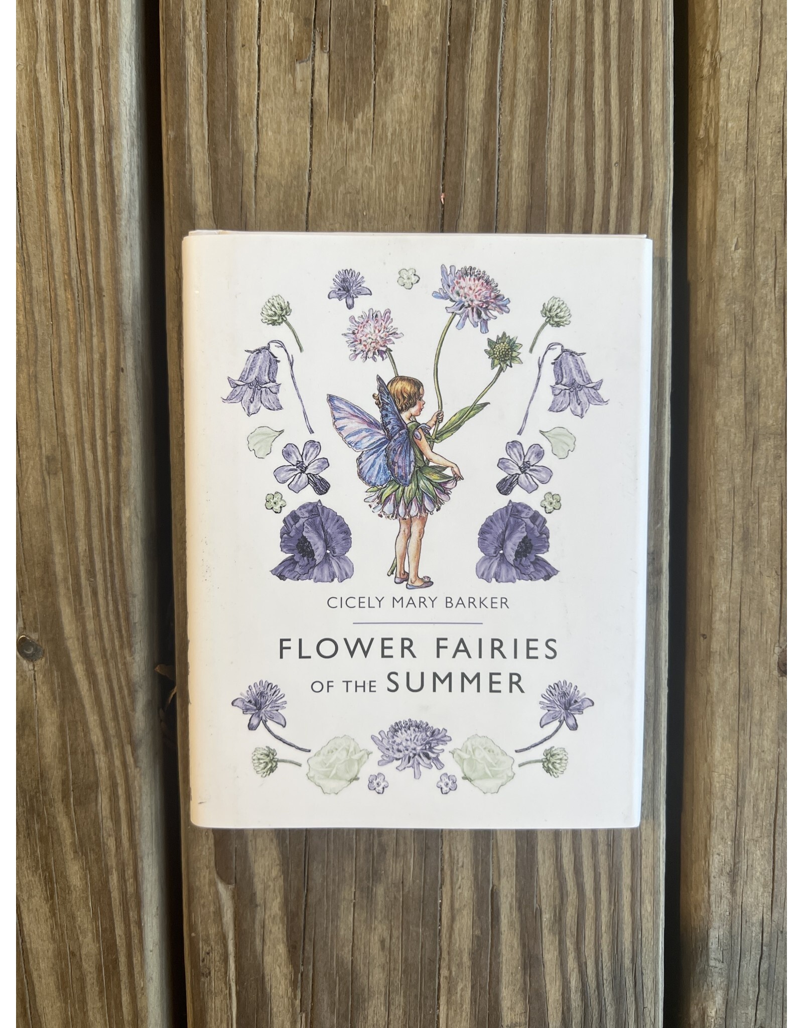 Flower Fairies of the Summer