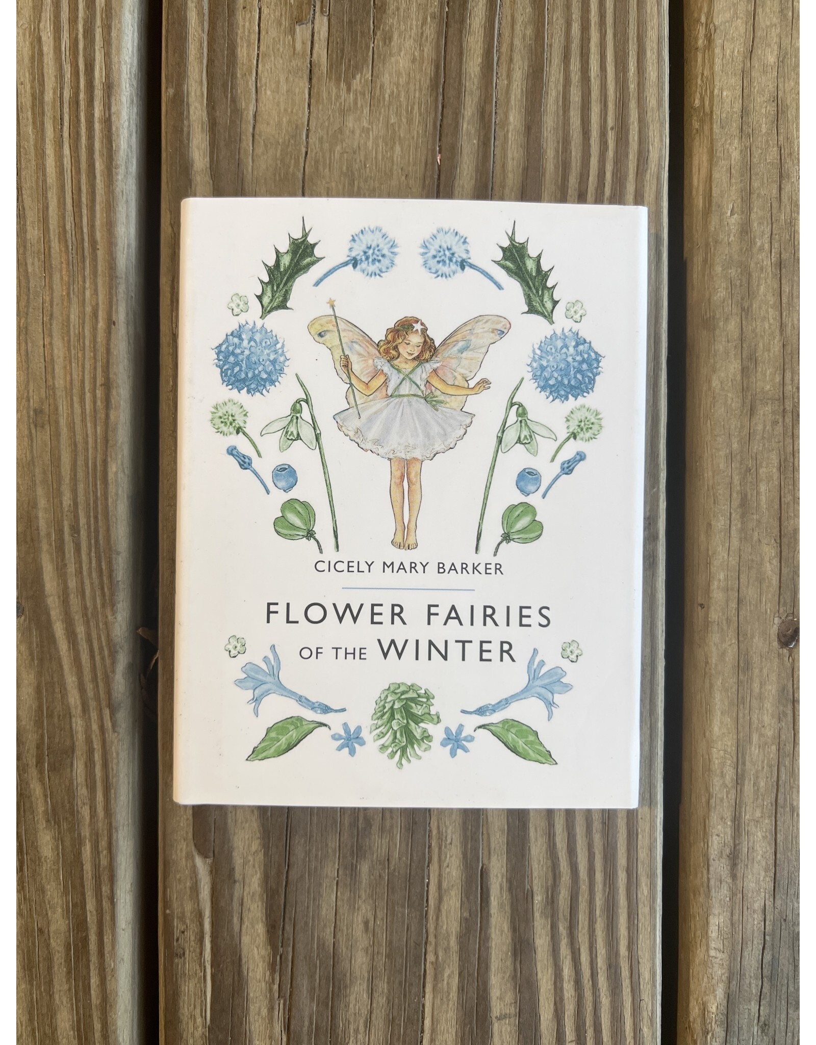 Flower Fairies of the Winter