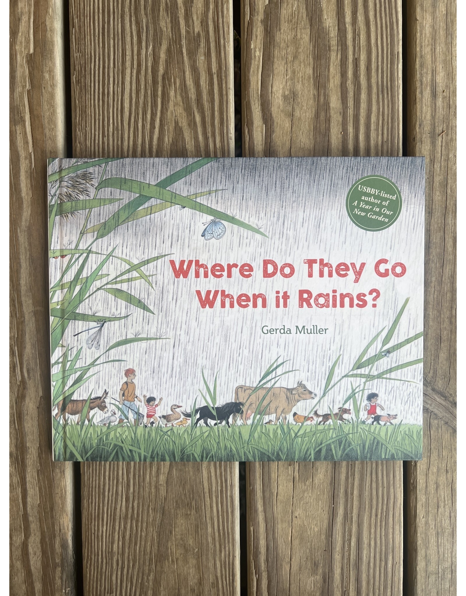 Where Do They Go When It Rains