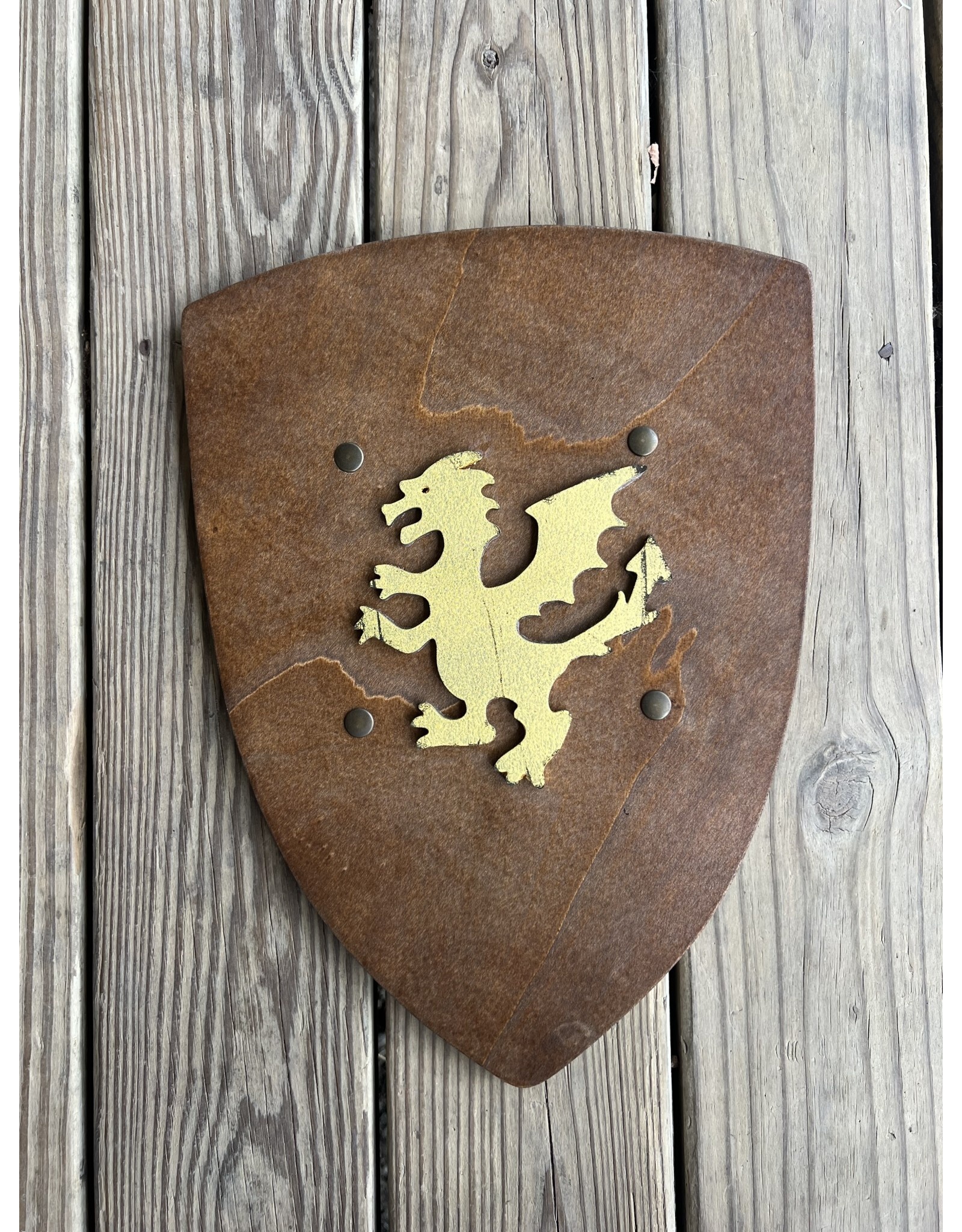 Rustic Dragon Shield from Spain