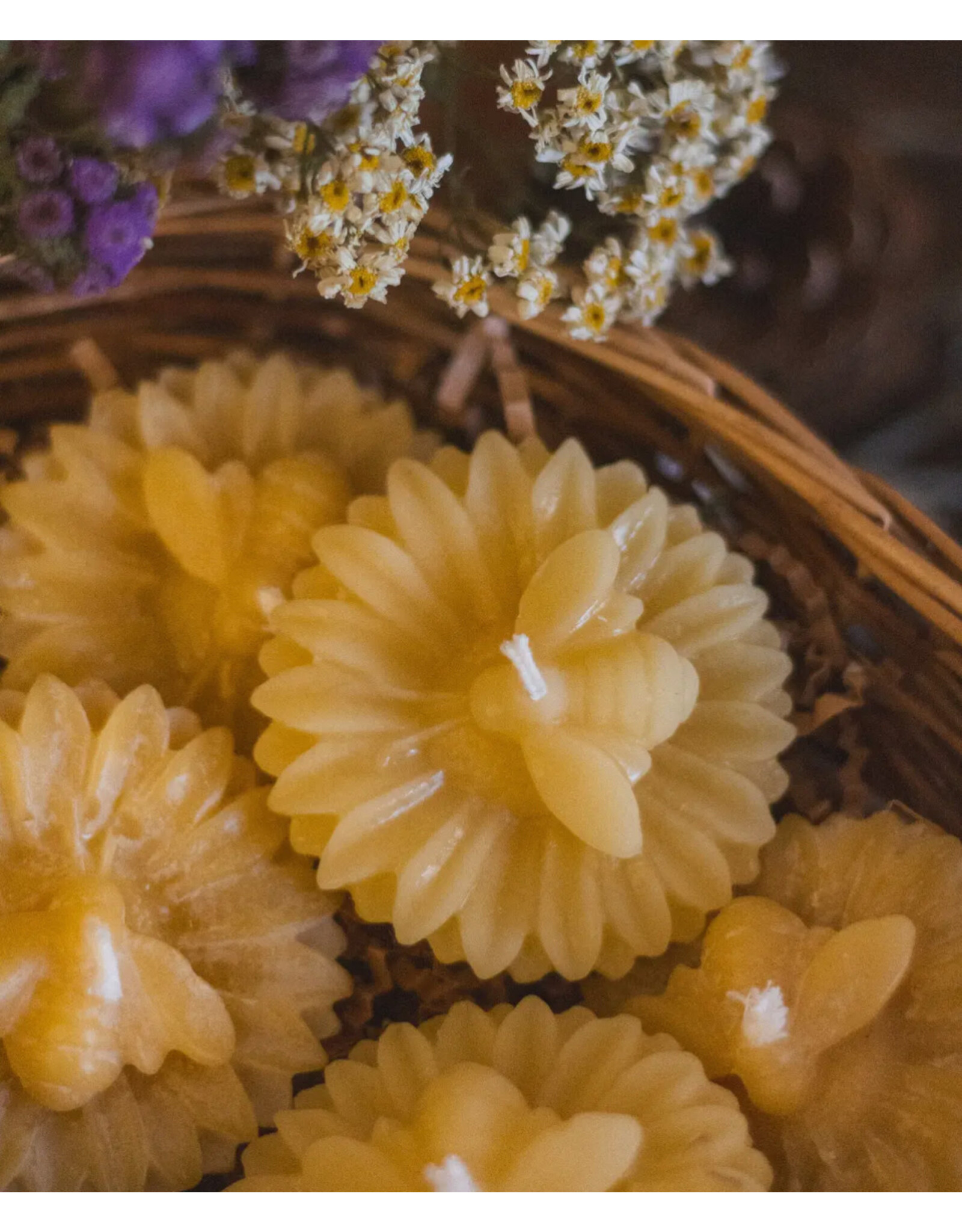 Beeswax Flower Tealight with Bee - floating