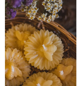 Beeswax Flower Tealight with Bee - floating
