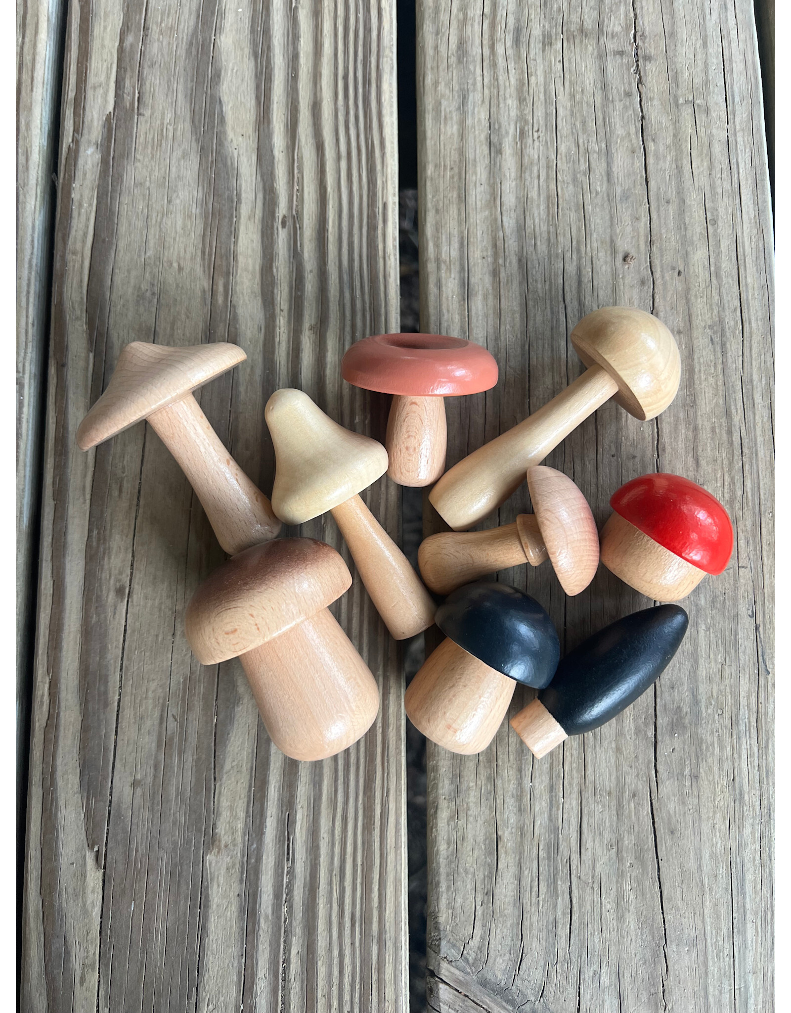 Woodland Mushrooms Set - Sarah’s Silks