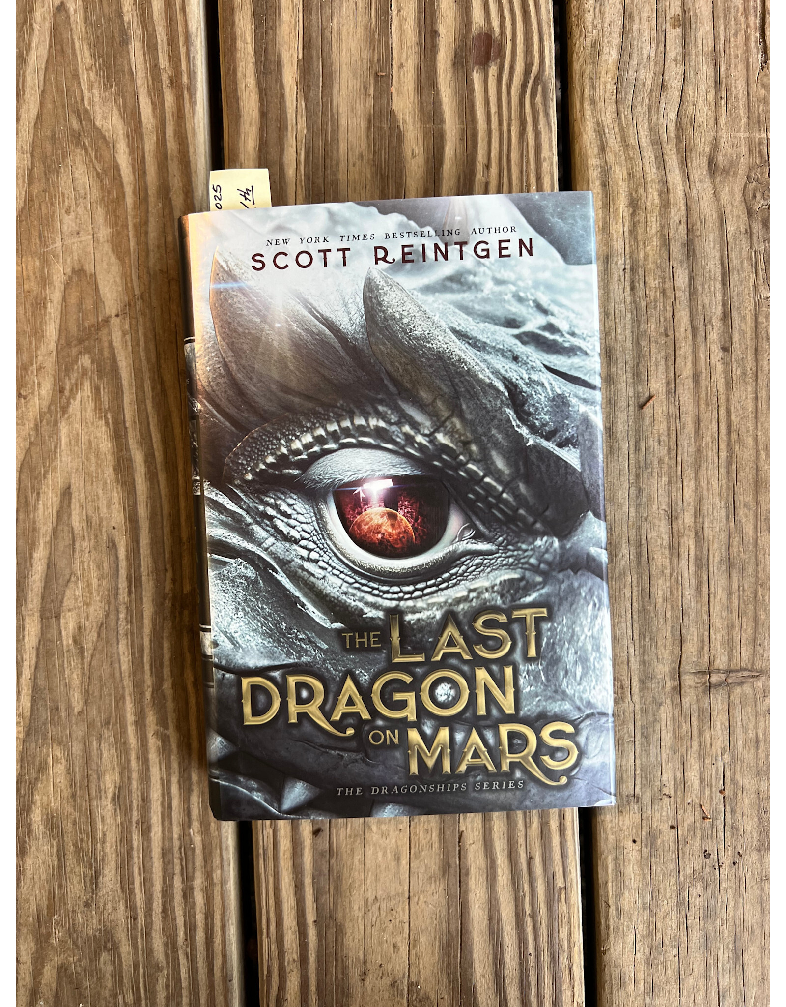 Last Dragon on Mars. Dragonships