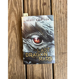 Last Dragon on Mars. Dragonships
