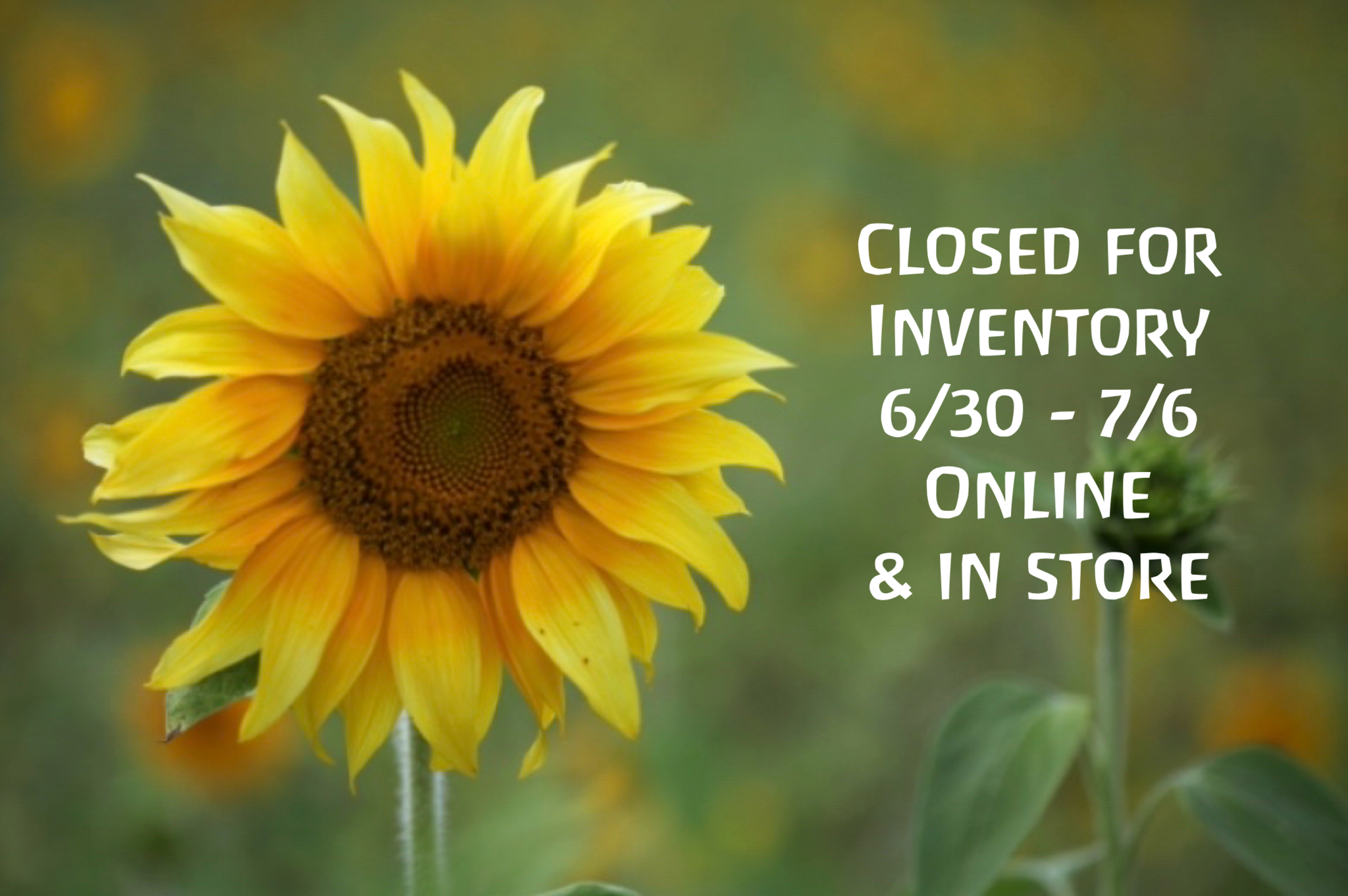 Closed for Inventory