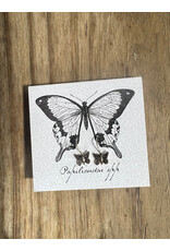 Butterfly Dangle Earrings - Sterling Silver