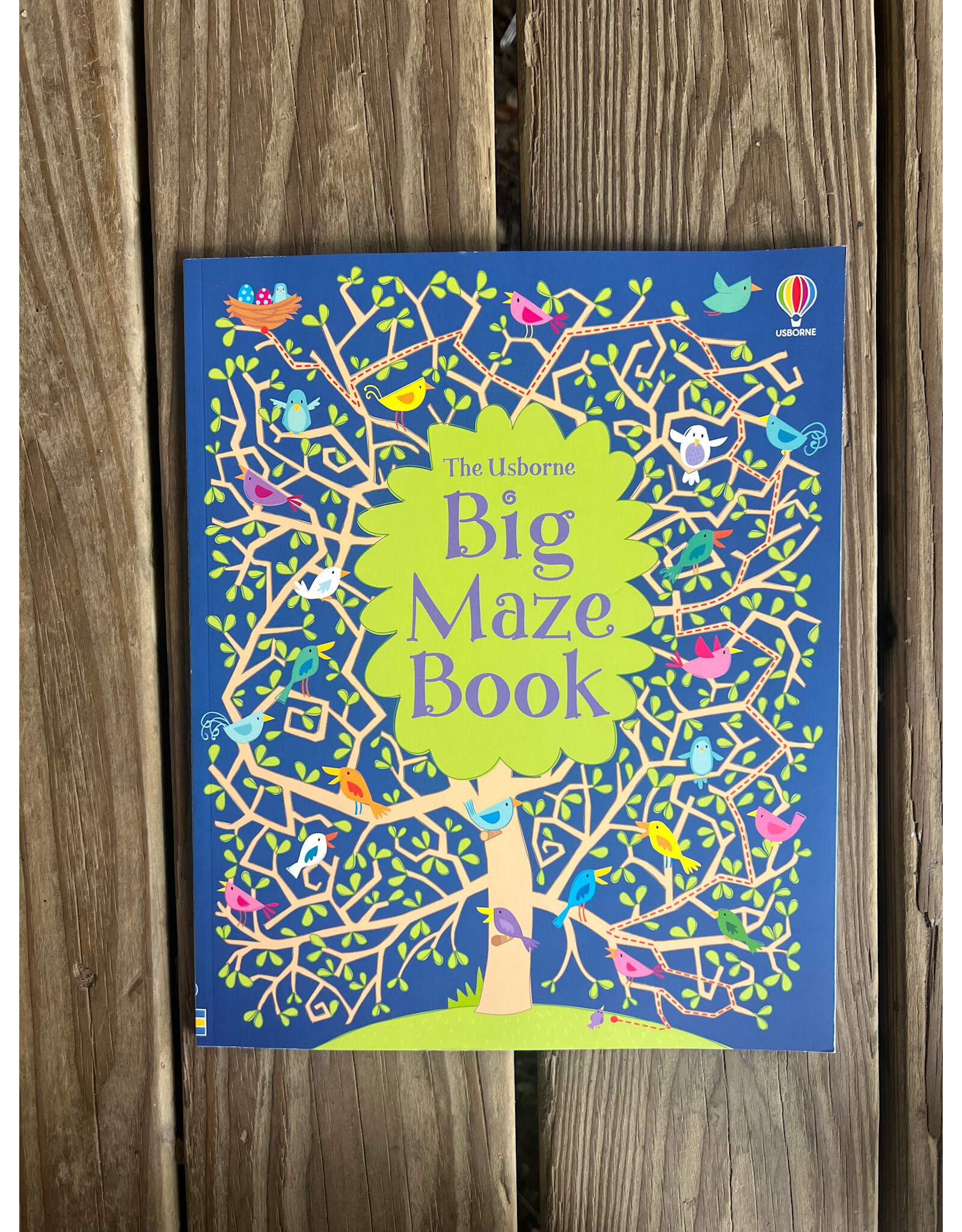 Big Maze Book