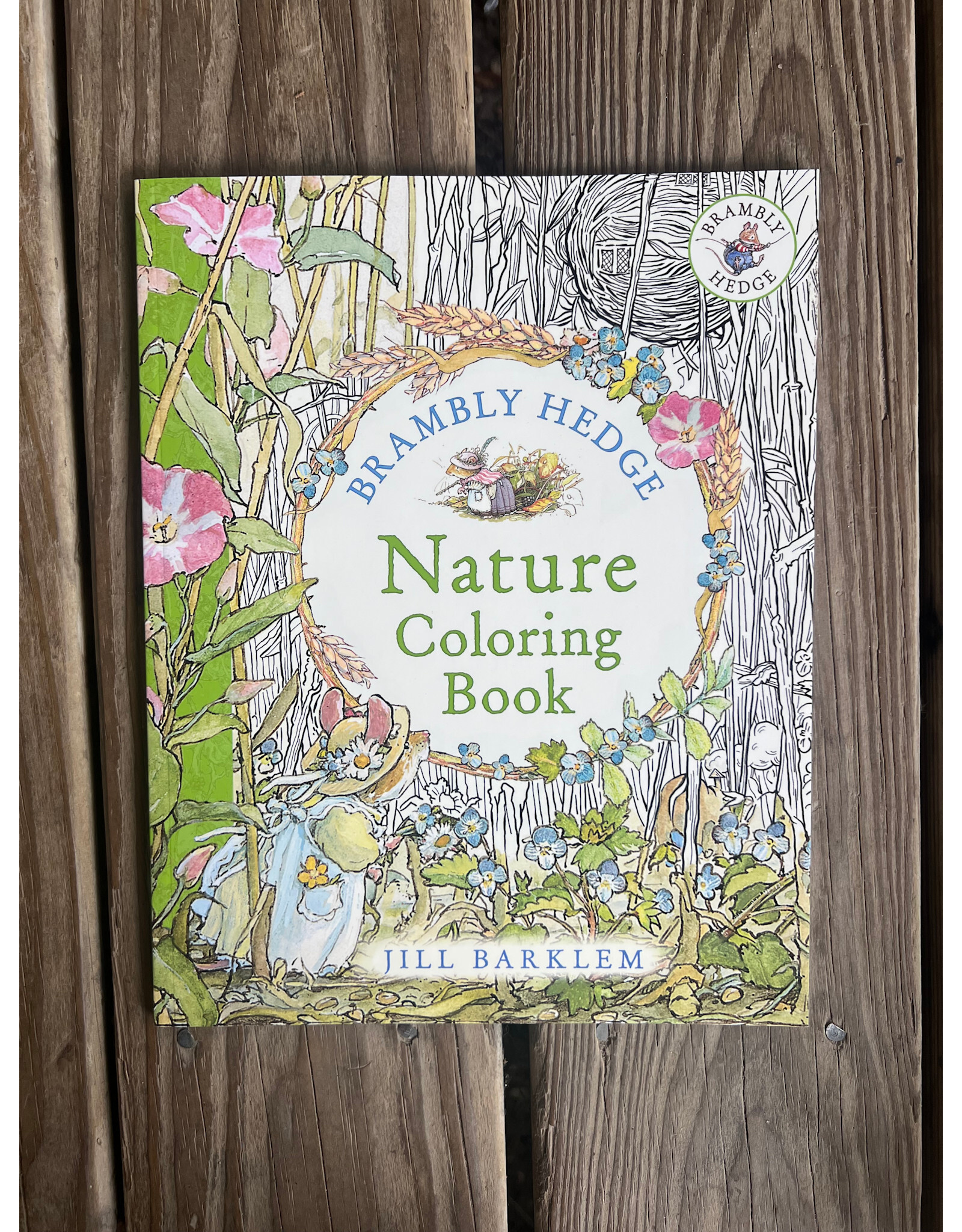 Brambly Hedge: Nature Coloring Book