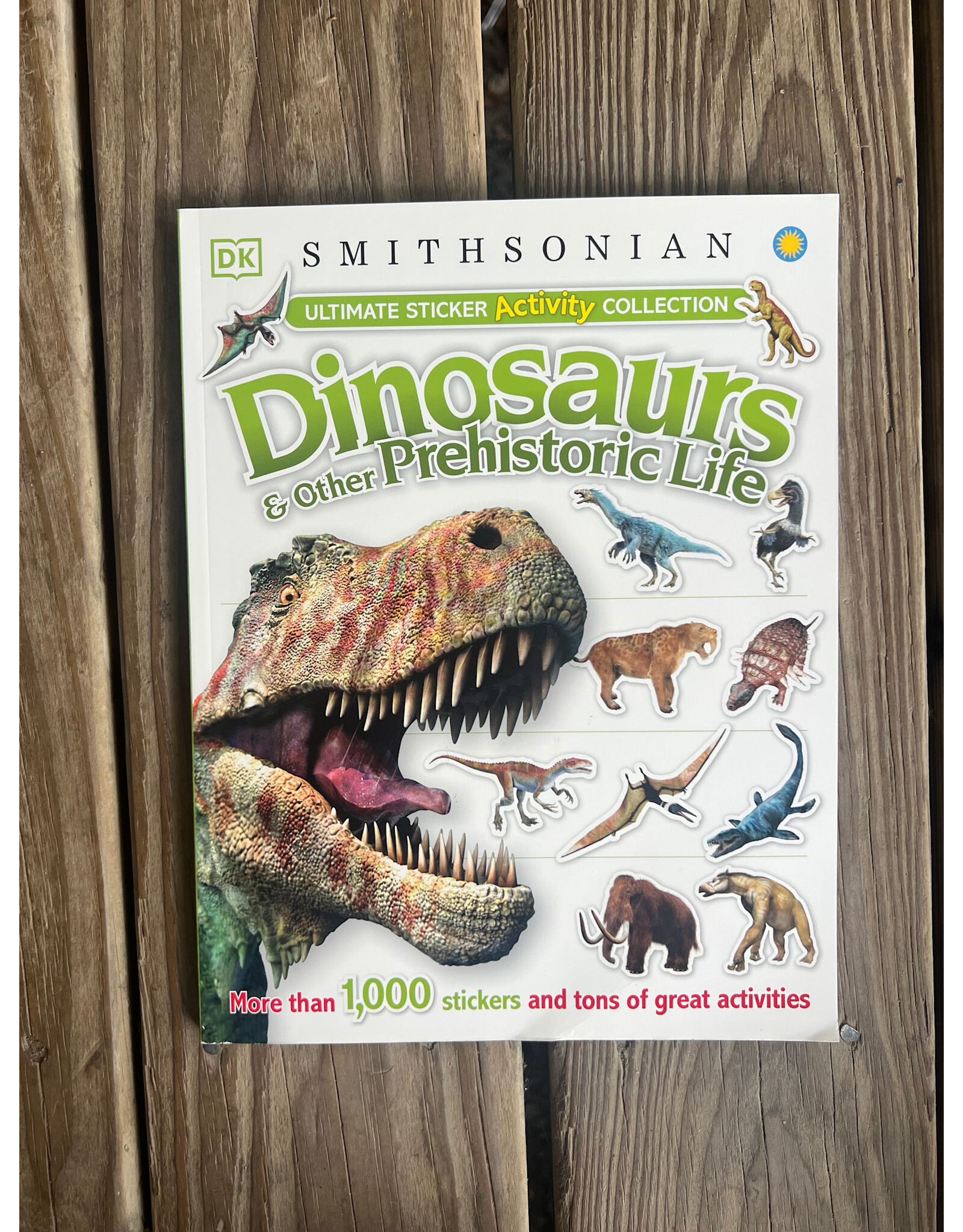 DK Dinosaur Activity Book