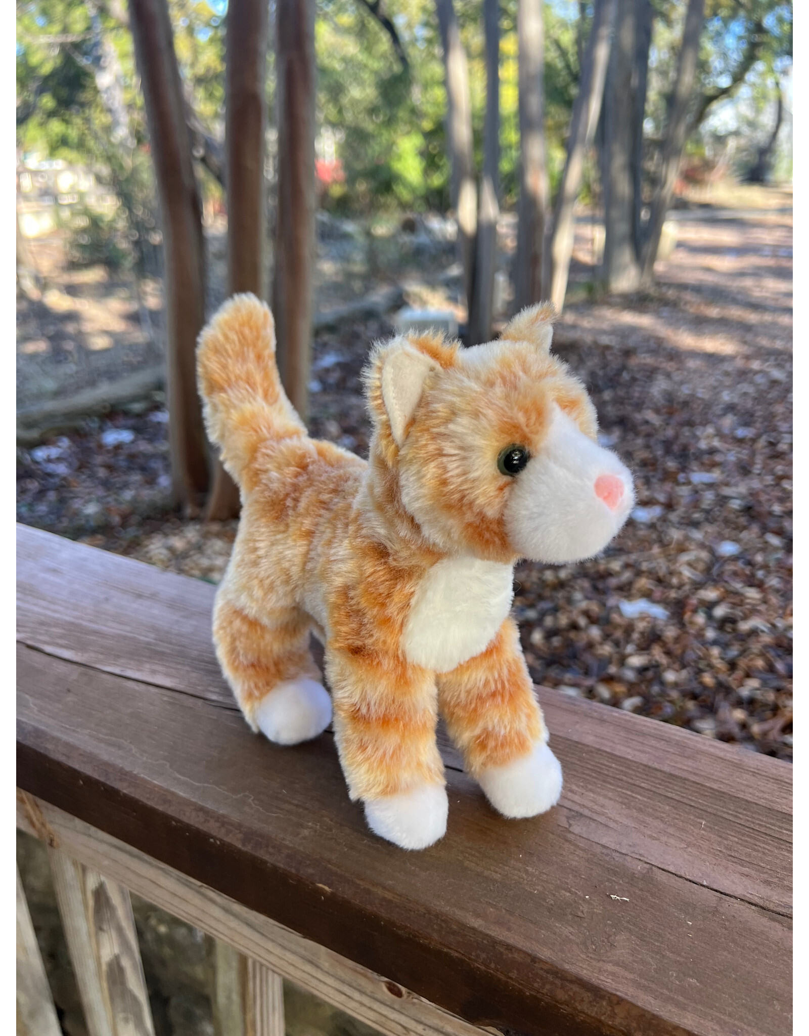 Hally Orange Striped Cat