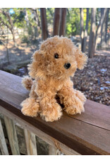 Molasses Caramel Labradoodle