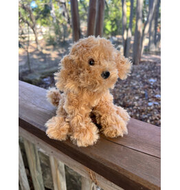 Molasses Caramel Labradoodle